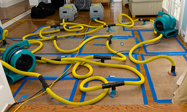 Professional Sewage Cleanup technician working in Inkster, MI
